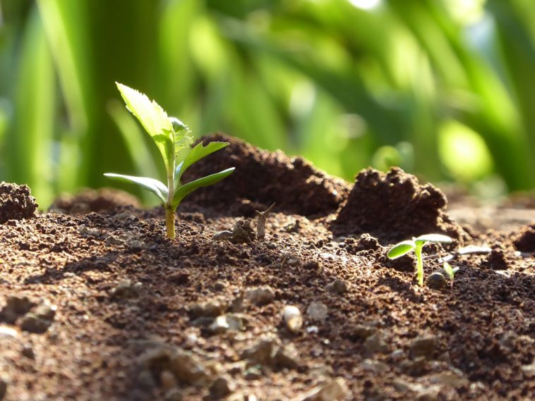 春の予感～日々のこと