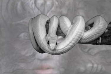 見えない存在のヘルプ～白蛇